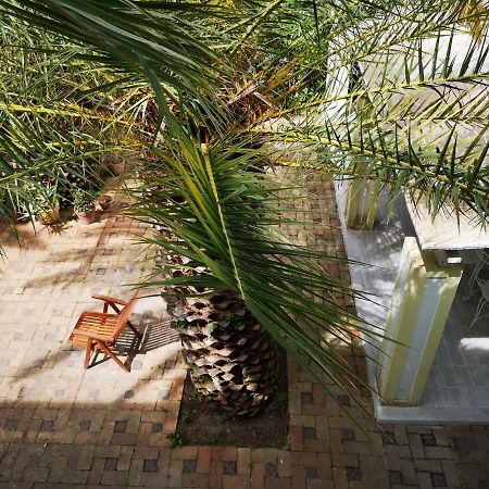 B&B La Salamandra Kitchengarden Forio (Isola d'Ischia) Exterior foto