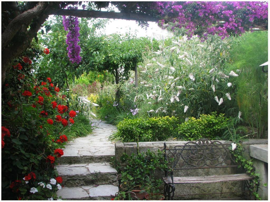 B&B La Salamandra Kitchengarden Forio di Ischia Exterior foto